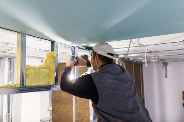 Best Professional Insulation Contractor  in Brookfield, MO