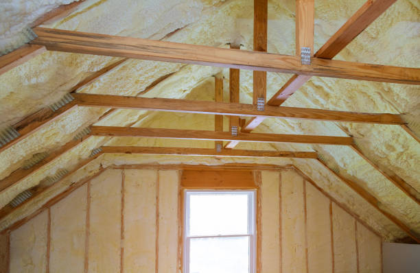 Best Insulation Repair Services  in Brookfield, MO