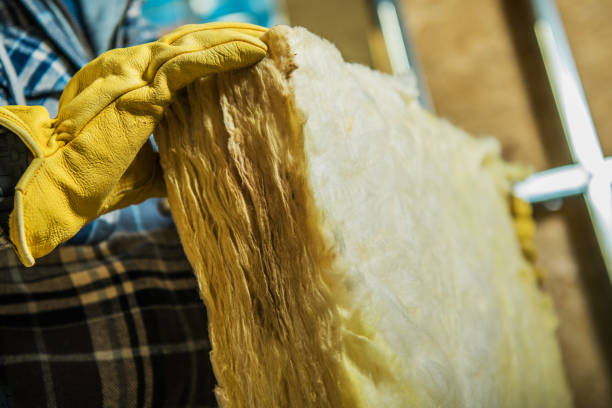 Best Insulation Replacement Services  in Brookfield, MO