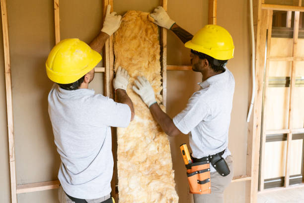 Best Insulation Contractors for Homes  in Brookfield, MO