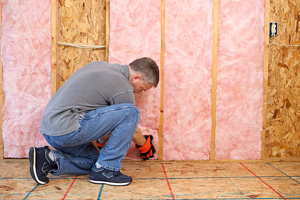 Best Crawl Space Insulation  in Brookfield, MO