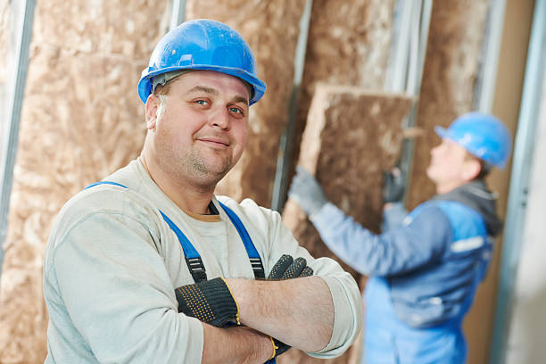 Best Insulation Inspection Services  in Brookfield, MO