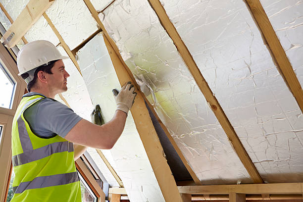 Best Insulation Removal Services  in Brookfield, MO