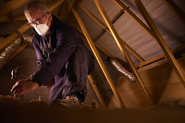 Best Attic Insulation Installation  in Brookfield, MO