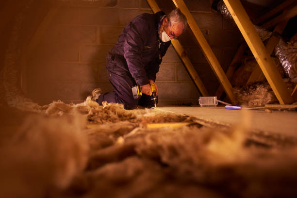 Best Home Insulation Services  in Brookfield, MO