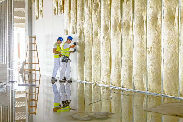 Best Professional Insulation Contractor  in Brookfield, MO